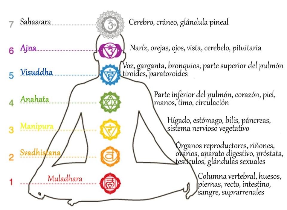 Los siete chakras